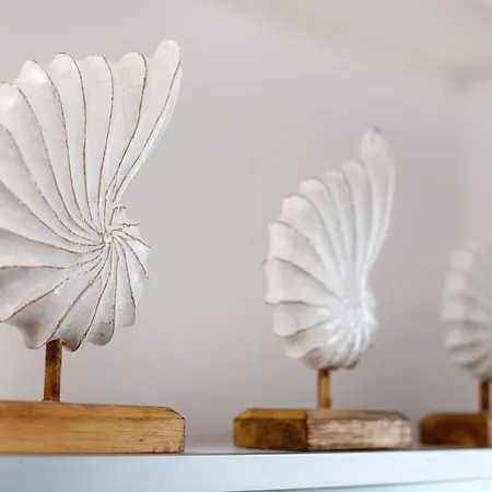 Nautilus Sea View Cotillo